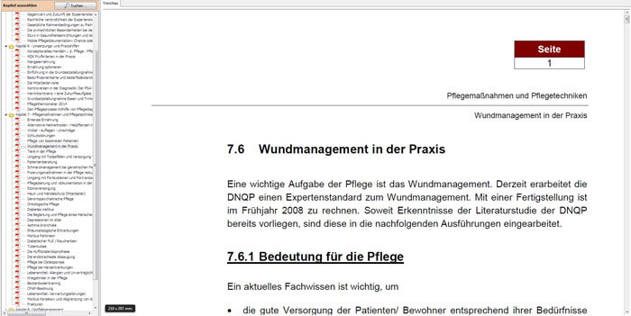 Pflege- und Expertenstandards auf CD-ROM