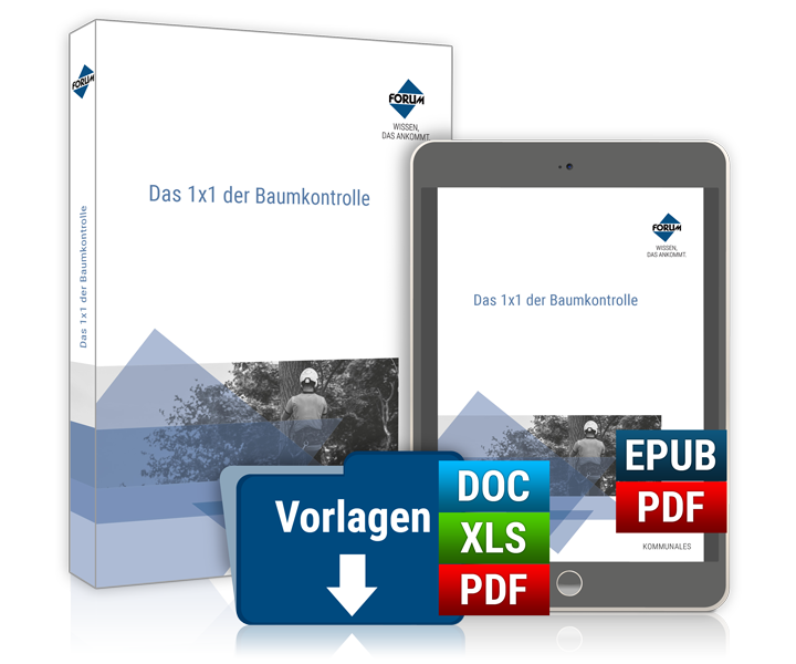 Das 1x1 der Baumkontrolle