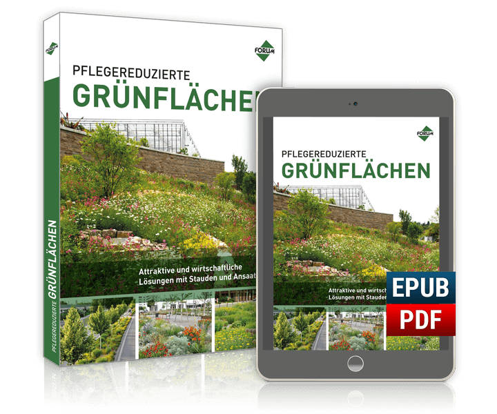 Pflegereduzierte Grünflächen