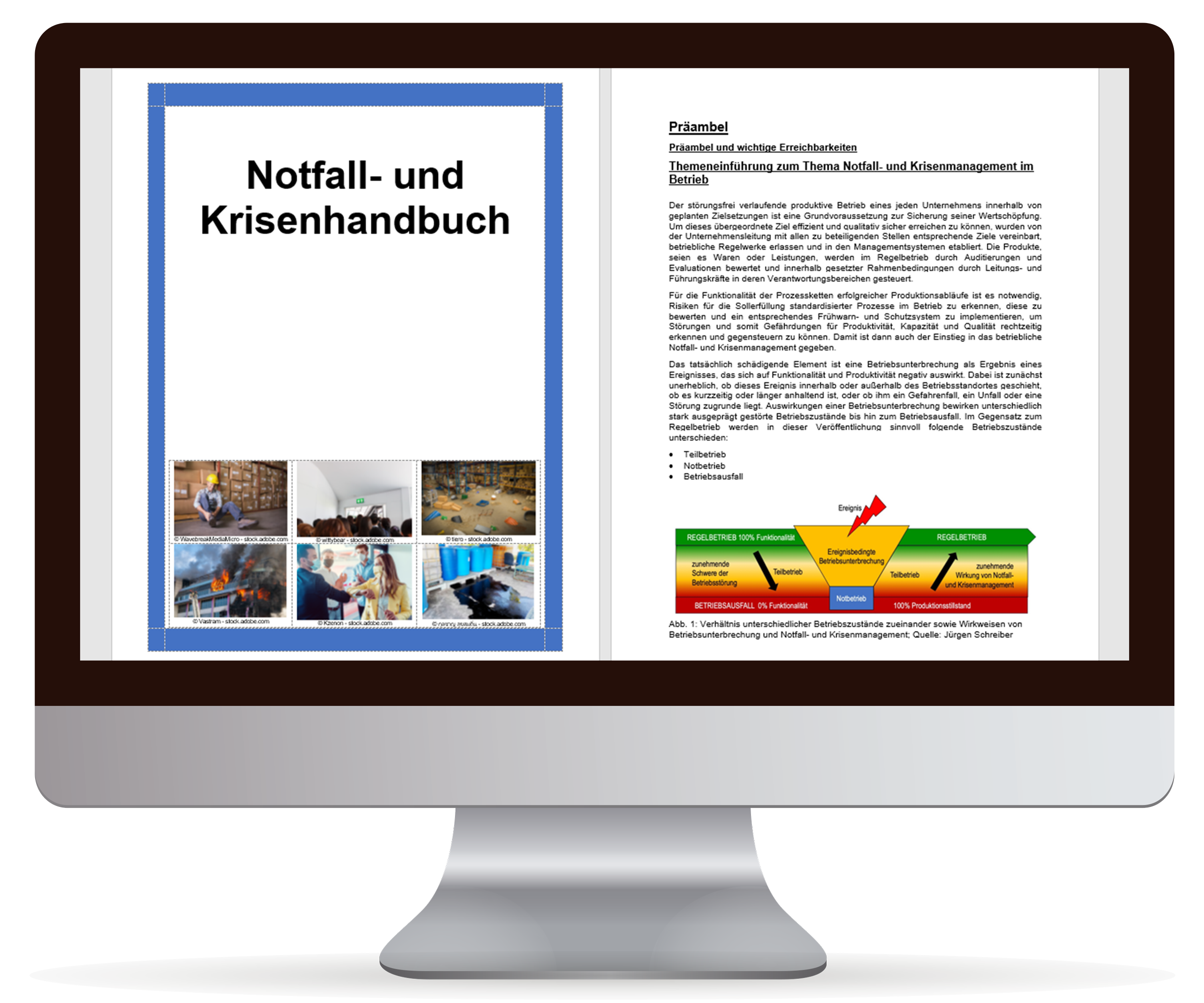 Notfall- und Krisenhandbuch Software