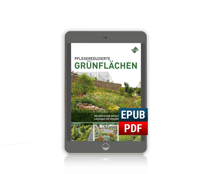 Pflegereduzierte Grünflächen
